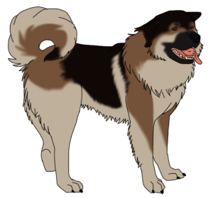 VeldurMountainDog.png